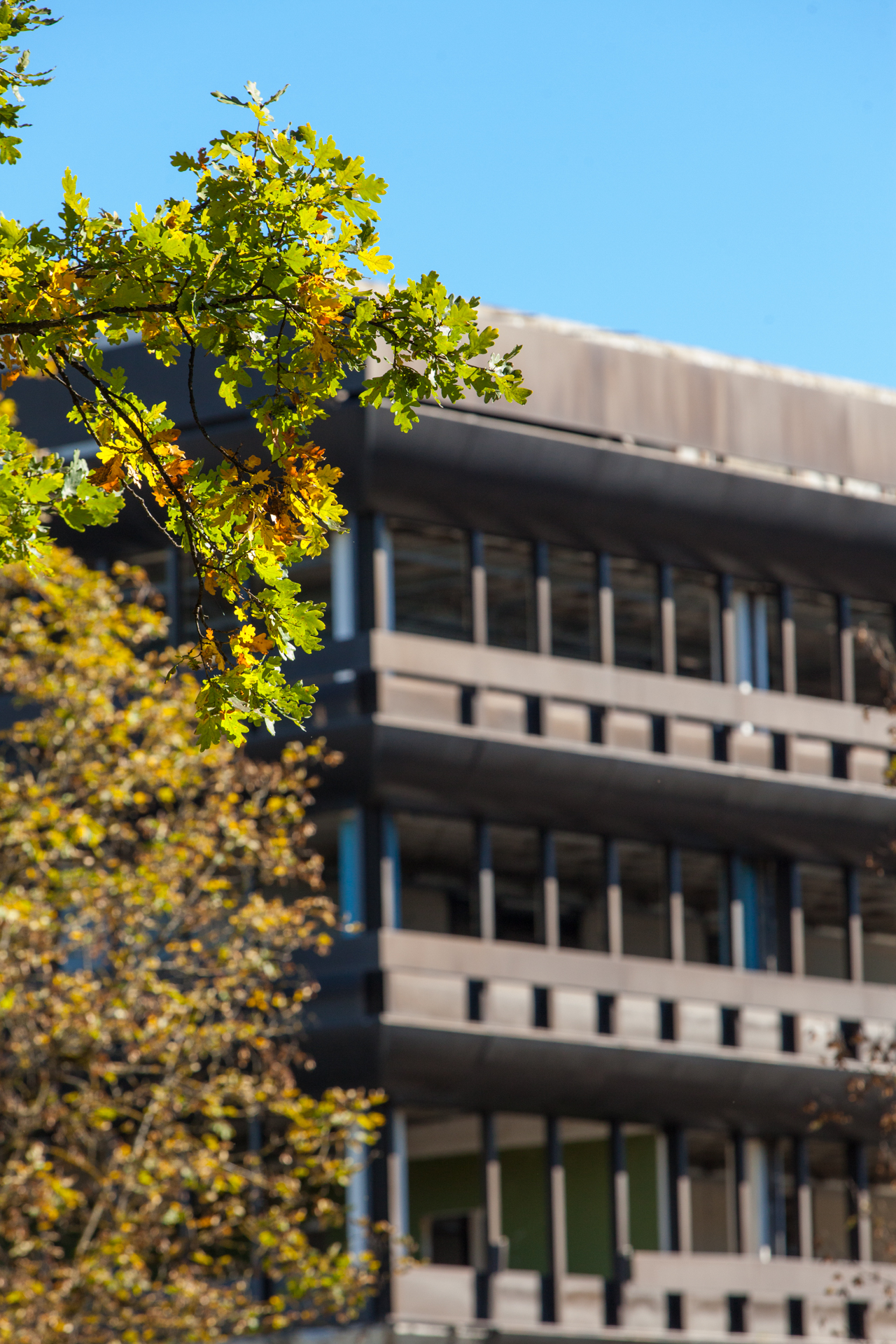 Neuperlacher Studentenwohnheim am Peschelanger und Karl-Marx-Ring